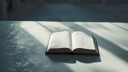 Minimalist photo of blank open book with sunlight streaming across pages