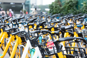 Fototapeta premium Neatly parked shared bikes