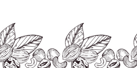 Seamless border of walnuts, hazelnuts, cashews, whole nuts, cracked nuts, leaves. All objects are hand-drawn with ink. Vector Illustration for Printing on Product Packaging, Store Window Design.