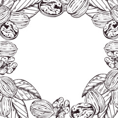 Square walnut frame, walnut tree leaves, nut without shell. All objects are hand-drawn in vector. The illustration is suitable for printing on fabric, paper, product packaging. Vector illustration