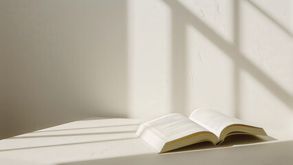 Minimalist photo of blank open book with sunlight streaming across pages