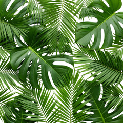 Tropical monstera and palm leaves arrangement isolated on transparent background