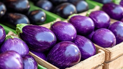 Freshly harvested vibrant purple eggplants displayed in wooden crates at market