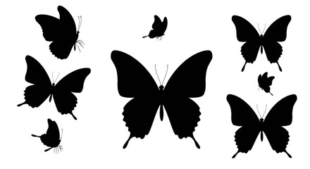 Fototapeta premium Black butterfly silhouettes against white background create a visually appealing pattern