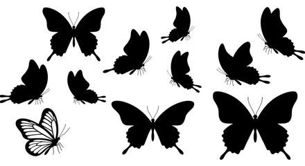 Elegant collection of butterfly silhouettes on a clean white background design