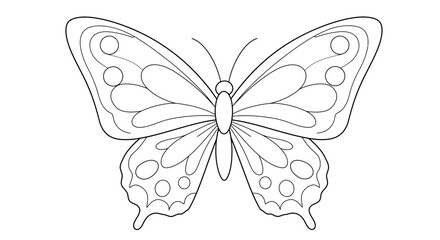 Fototapeta premium Detailed butterfly illustration for coloring pages and educational resources