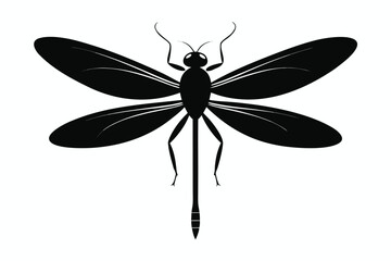Elegant damselfly silhouette illustration on a clean white background