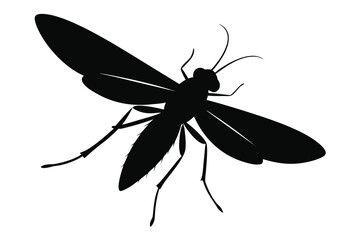 Elegant lacewing insect silhouette illustration with intricate wing details on a clean background