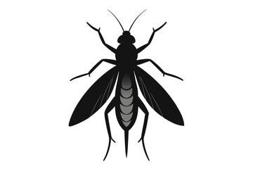 Elegant silhouette illustration of a stonefly insect on a clean white background