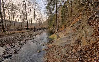 River  with granite rocks through a winter forest with bare trees reflecting in the water in the high fens near Eupen,Liege, Belgium 