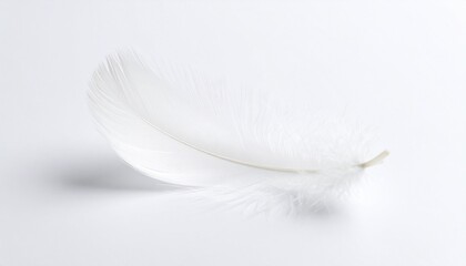 Obraz premium A single white feather rests delicately on a pale surface—evoking purity, fragility, and the gentle weightlessness of memory caught in physical form.