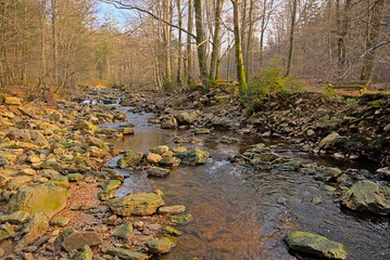 river with granite rocks through a winter forest with bare trees in the hills of high fens near Eupen,Liege, Belgium 