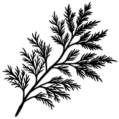 Cedar Branch Silhouette Vector
