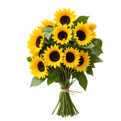 Obraz premium sunflower isolated on white