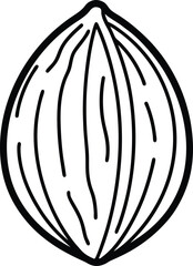 Whole nutmeg line art vector illustration