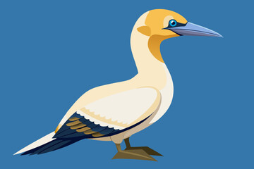 wild duck on blue background