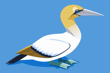 duck in water