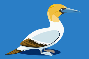 illustration of a duck