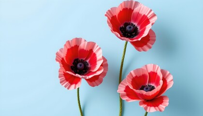 Obraz premium Captivating Arrangement Vibrant Poppy Flowers