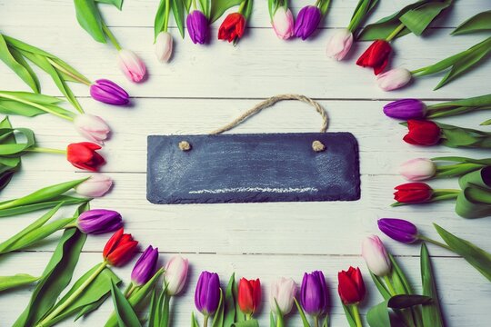 Flat lay illustration is featuring black slate sign hanging from coarse twine amid tulip border