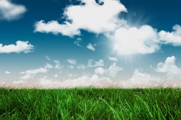 Green field under blue sky