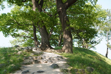 Stone and dirt hiking path leading up a green grassy hill with large old trees in the sunny park