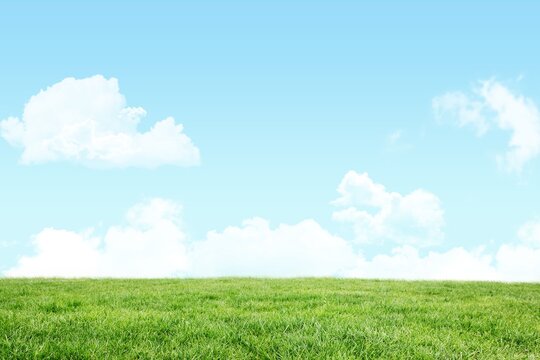Fototapeta Expanse of green grass is stretching across flat design meadow under blue sky, with white clouds