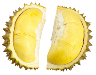 Close up revealing durian's spiky green husk and creamy yellow segments, displaying distinctive tropical fruit texture against transparent backdrop