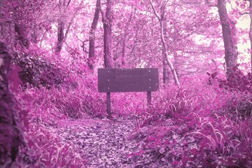 Wooden signboard is standing on leaf-strewn trail under tree canopy in flat design illustration