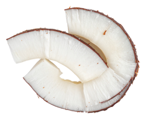 Coconut slices revealing rich brown peels arranged artfully, showcasing natural texture against clean transparent backdrop