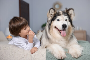 Happy boy and cute dog on bed at home