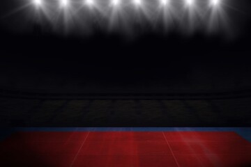 Naklejka premium Composite image of playing field indoor