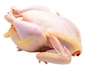  Whole Desi Village Chicken with Skin and Legs &ndash; Raw and Unprocessed &ndash; Transparent Background