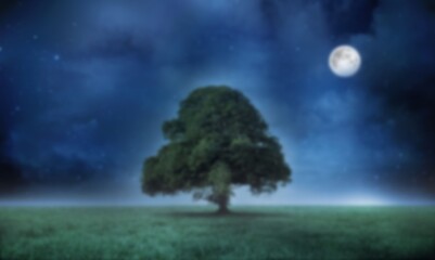 Naklejka premium Tree on grass field in moon light
