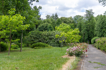 Bright green landscaped park on a summer day