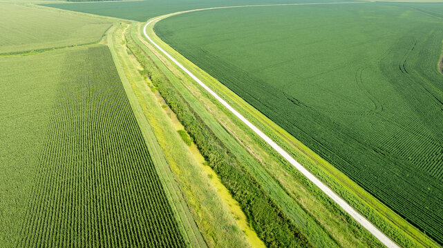 Steamboat Trace, bike trail converted from an abandoned railroad, running through Nebraska farmland near Peru, summer aerial view with green corn fields