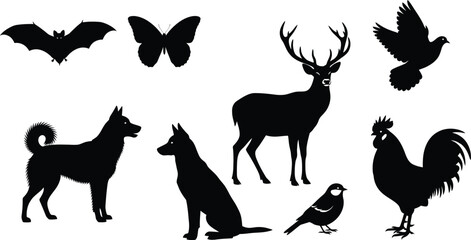 Silhouettes of diverse animals showcase wildlife including birds and mammals.