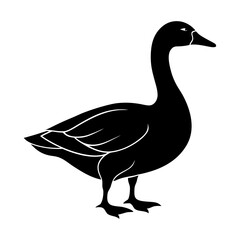 Illustration of a black goose standing with its neck curved to the right