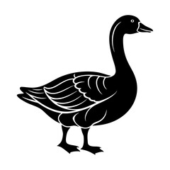 Illustration of a black goose standing in profile with detailed feathers