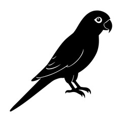 Fototapeta premium Silhouette of a parrot perched on a branch with a white background view