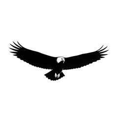 Fototapeta premium Dramatic Silhouette of an Eagle in Flight Displays Power and Freedom Against a White Backdrop