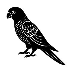 Illustration of a black lorikeet bird standing with detailed feathers