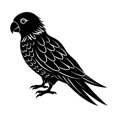 Illustration of a black parrot standing with detailed feather texture design