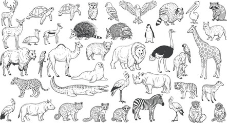 Diverse animal sketches displaying various wildlife species in monochrome