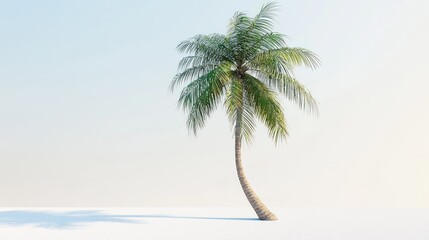 Obraz premium Solitary palm tree against a pale backdrop