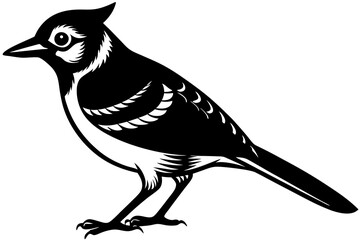 bird on a white background