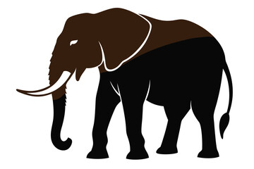 Fototapeta premium A huge wild African elephant with a big trunk is walking, isolated on white