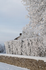 Old stone fence and beautiful frozen tree branches covered with snow. Extremely cold winter in Estonia.