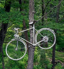 Fototapeta premium Nature Reclaims Bicycle in Forest