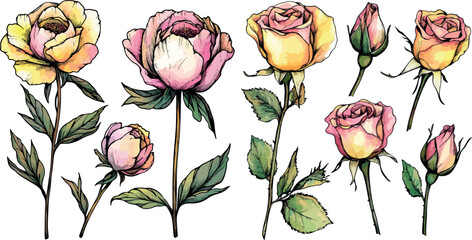 set of adorable colourful drawn cartoon roses flowers